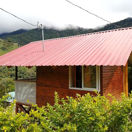 Mario'S Lodge Providencia Copey Kültér fotó