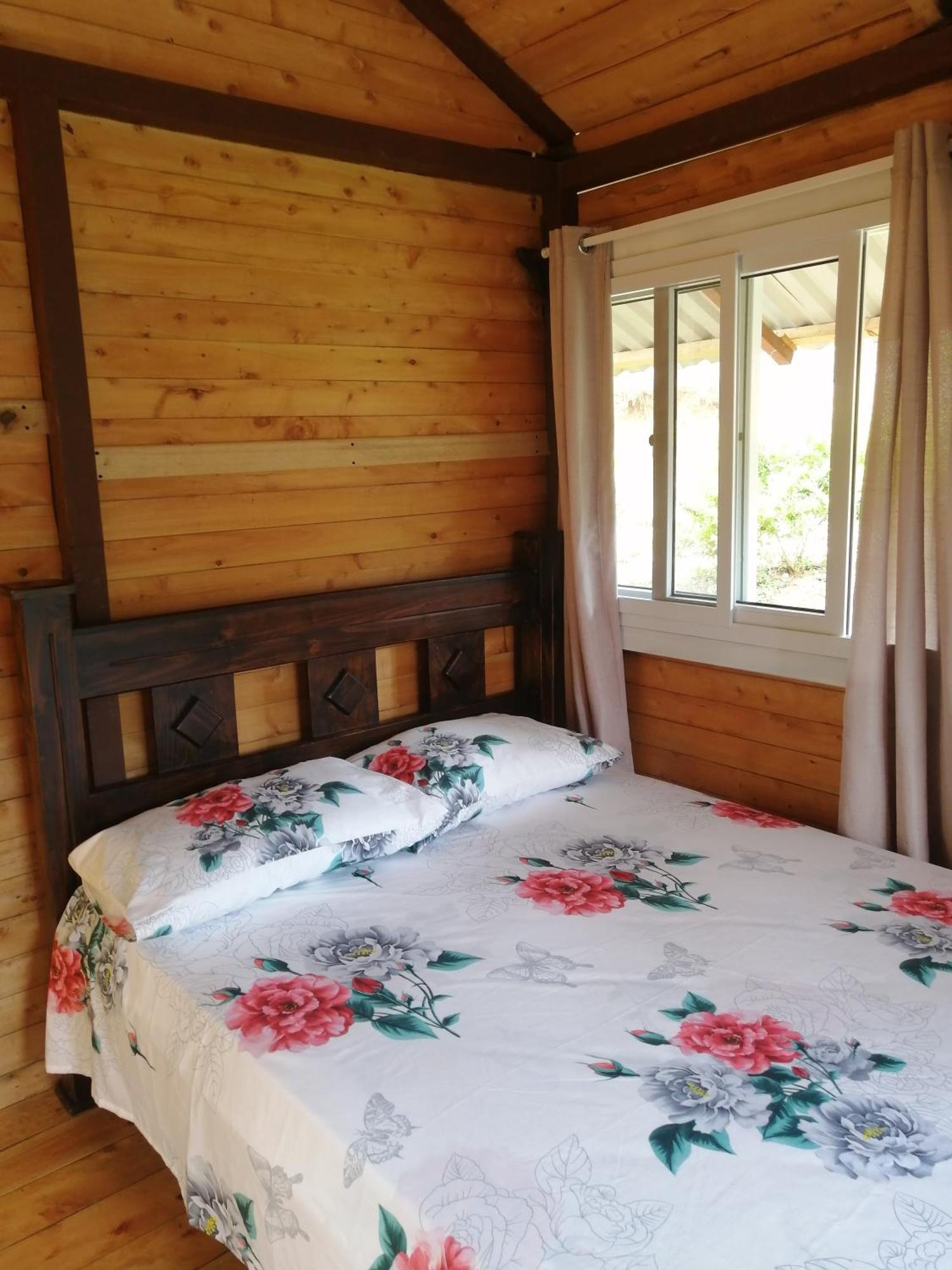 Mario'S Lodge Providencia Copey Kültér fotó